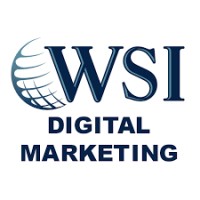 wsi-estrategies